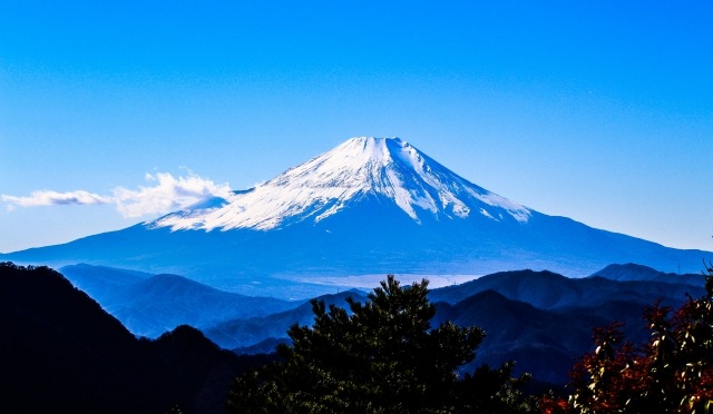 関東地方の日本酒 富士山